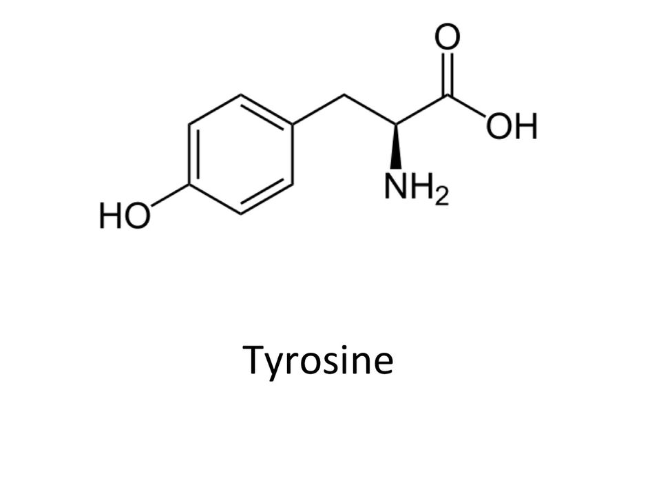 Tyrosin in Zxcvbnmqwt